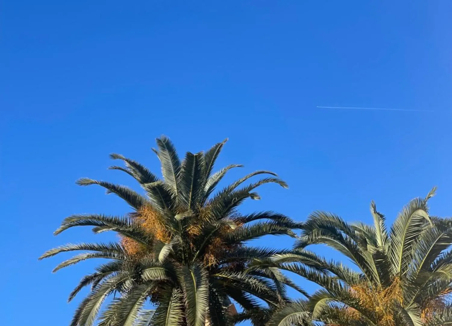 Joli Nid Lägenhet Menton 0*,  Frankrike